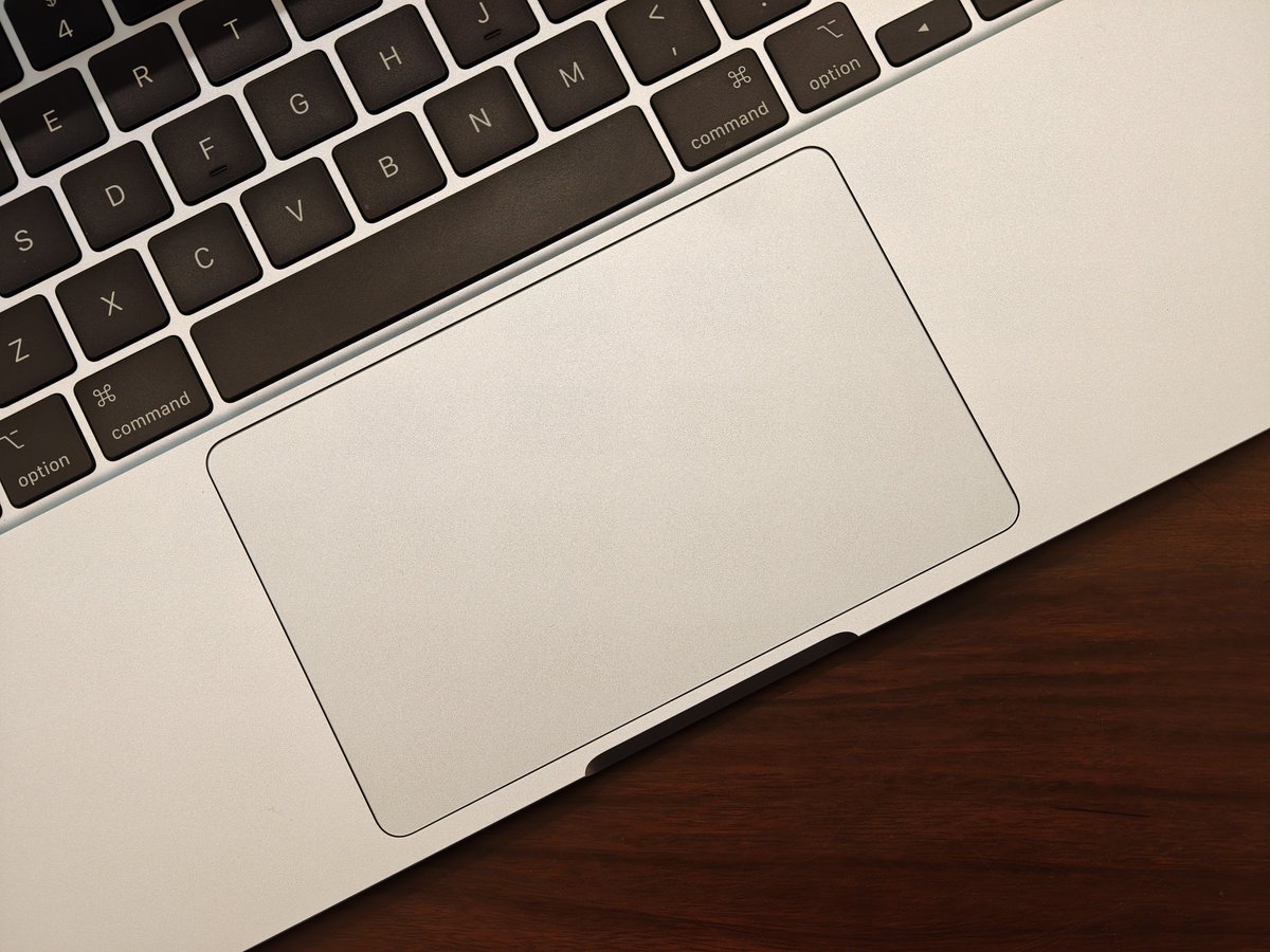 Noah Cat tweet media