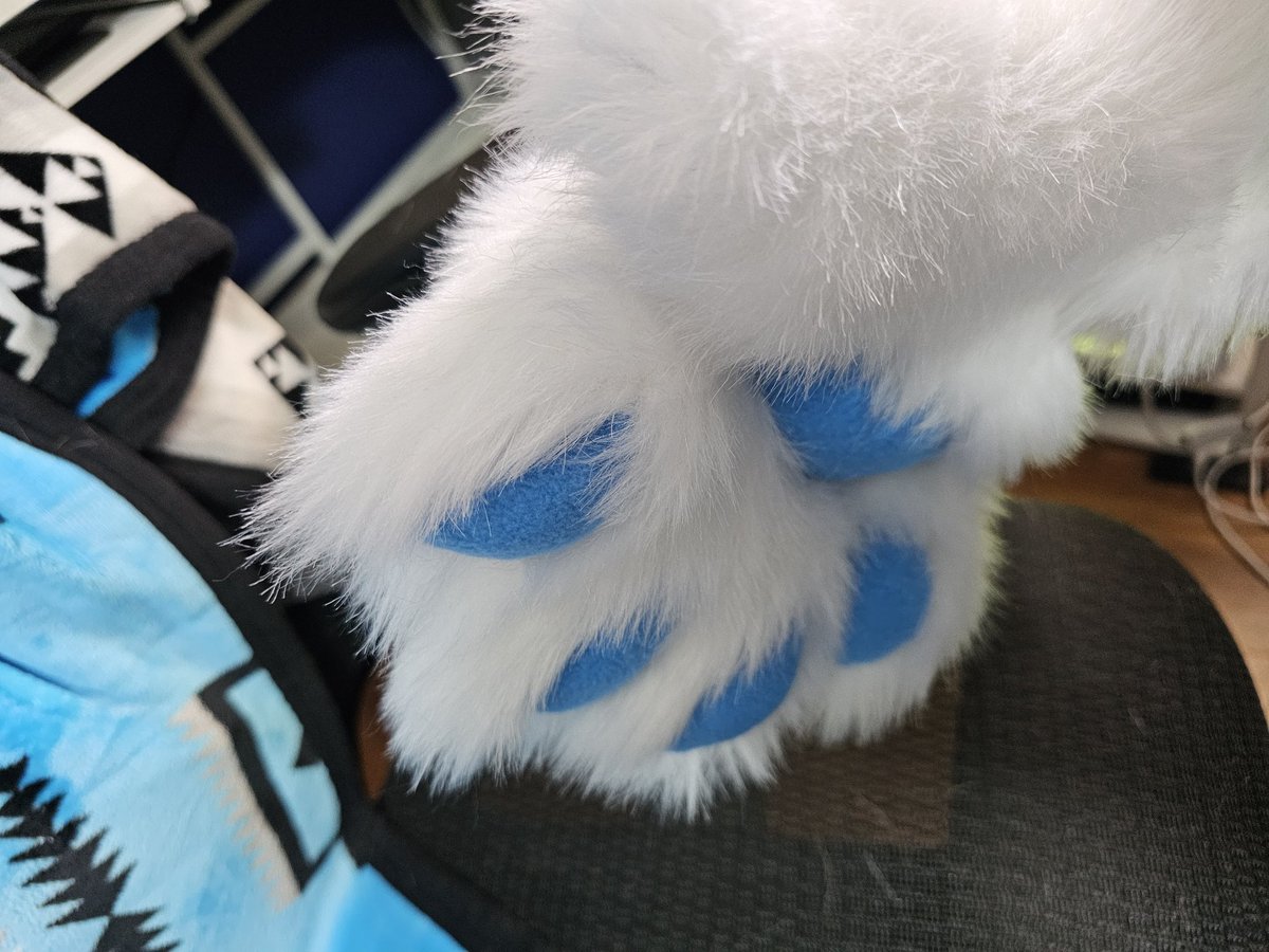 Arcane Cat tweet media