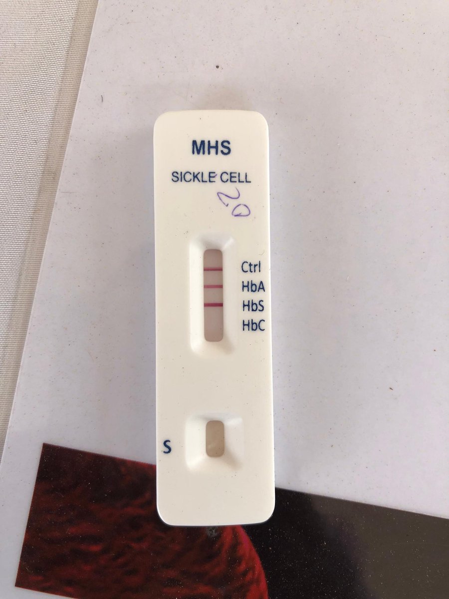 Tackle Sickle Cell Africa tweet media