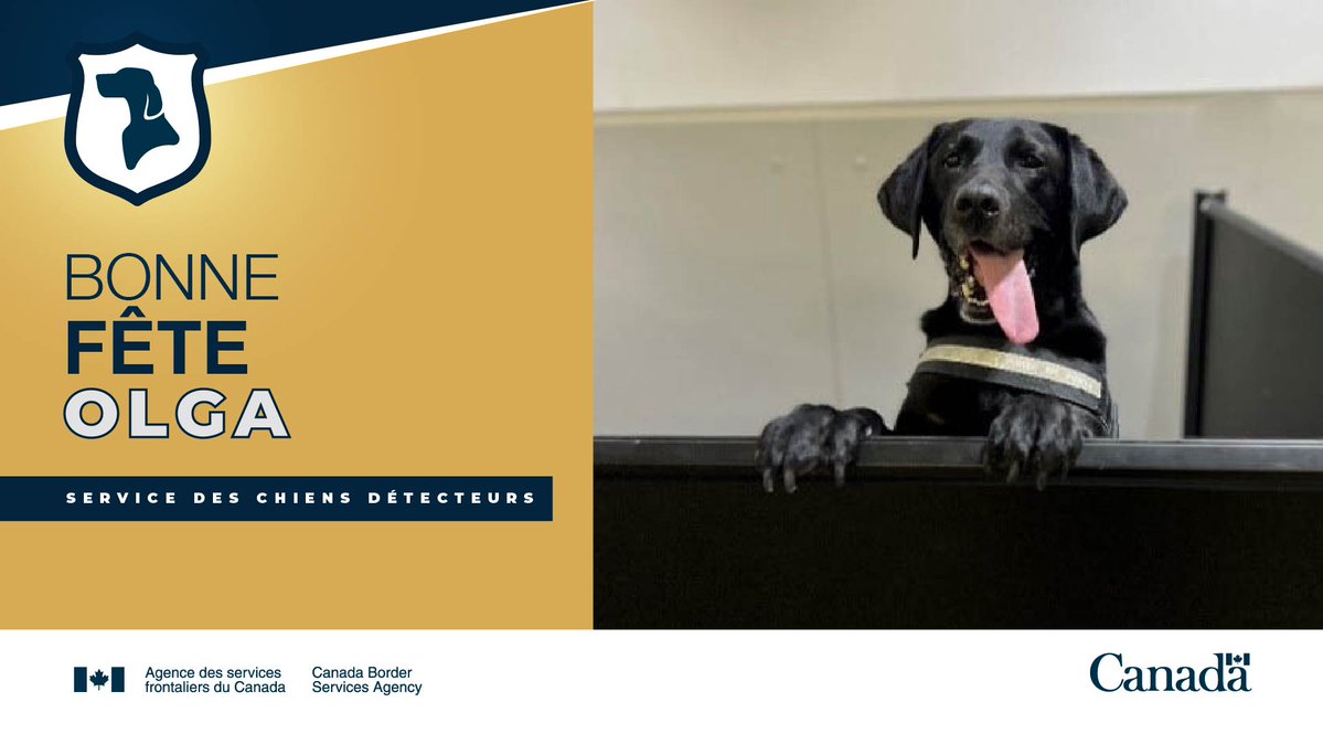 Serv frontaliers GT tweet media