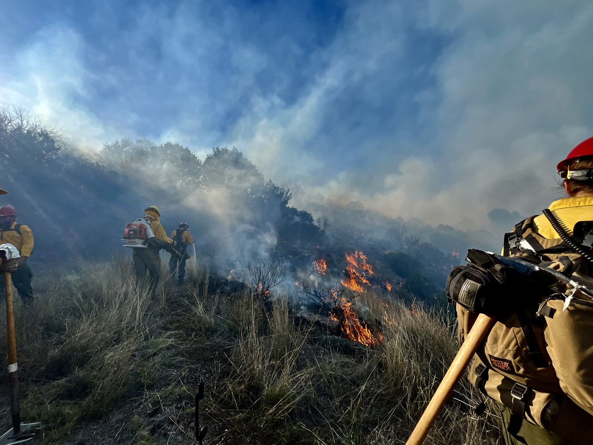 Clark Gable tweet media