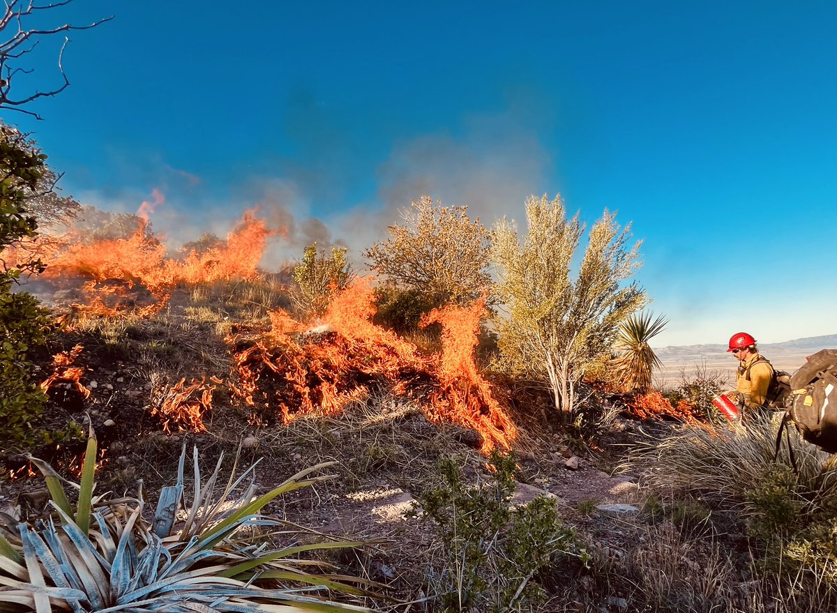Clark Gable tweet media