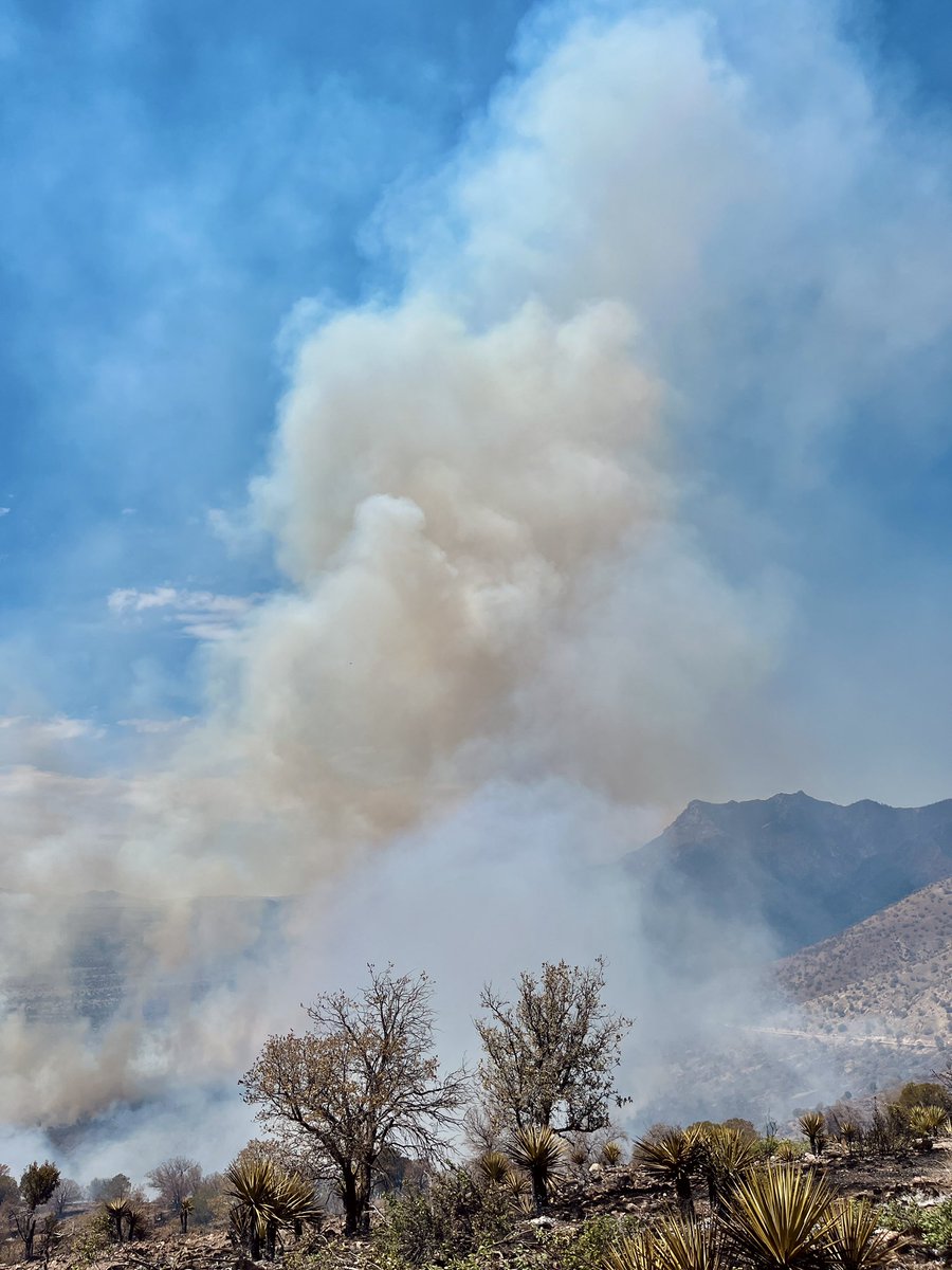 Clark Gable tweet media