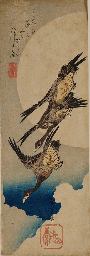 Le Períple tweet media