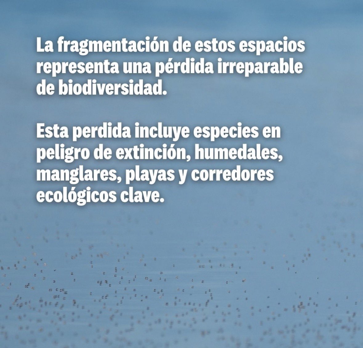 Maria Celeste tweet media