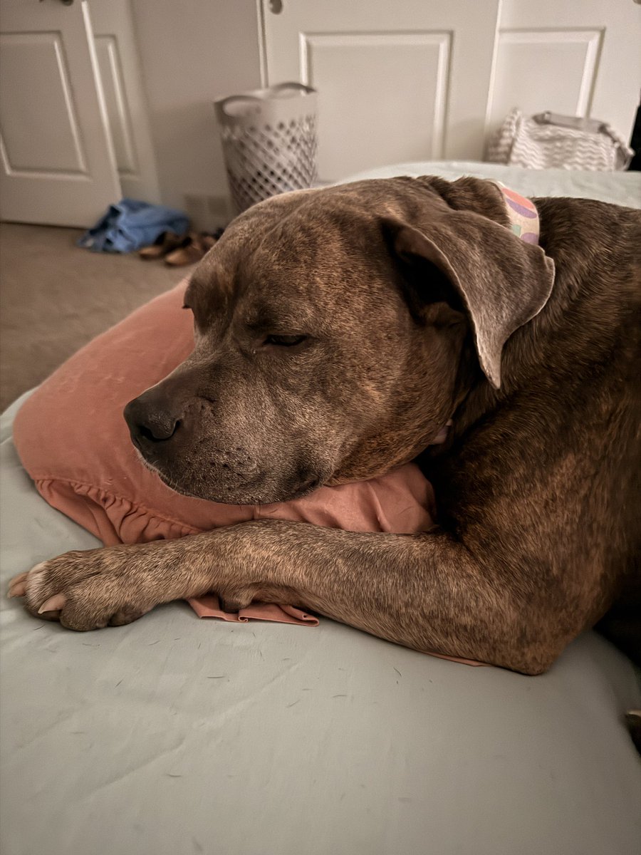 molly jean ( goodest gorl 🍉) tweet media