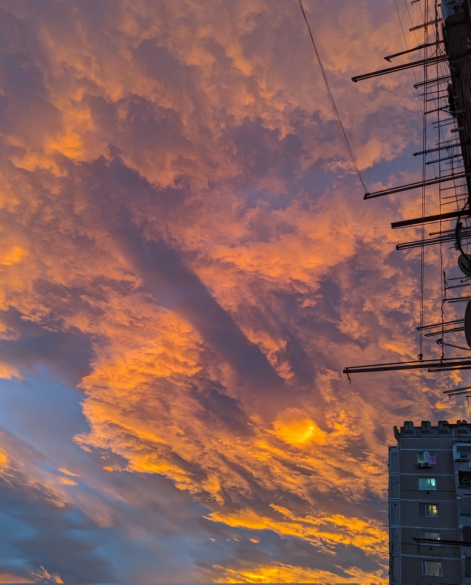 Georgia Pictures 🇺🇦 tweet media