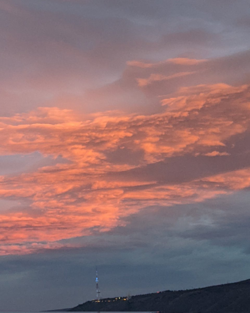 Georgia Pictures 🇺🇦 tweet media