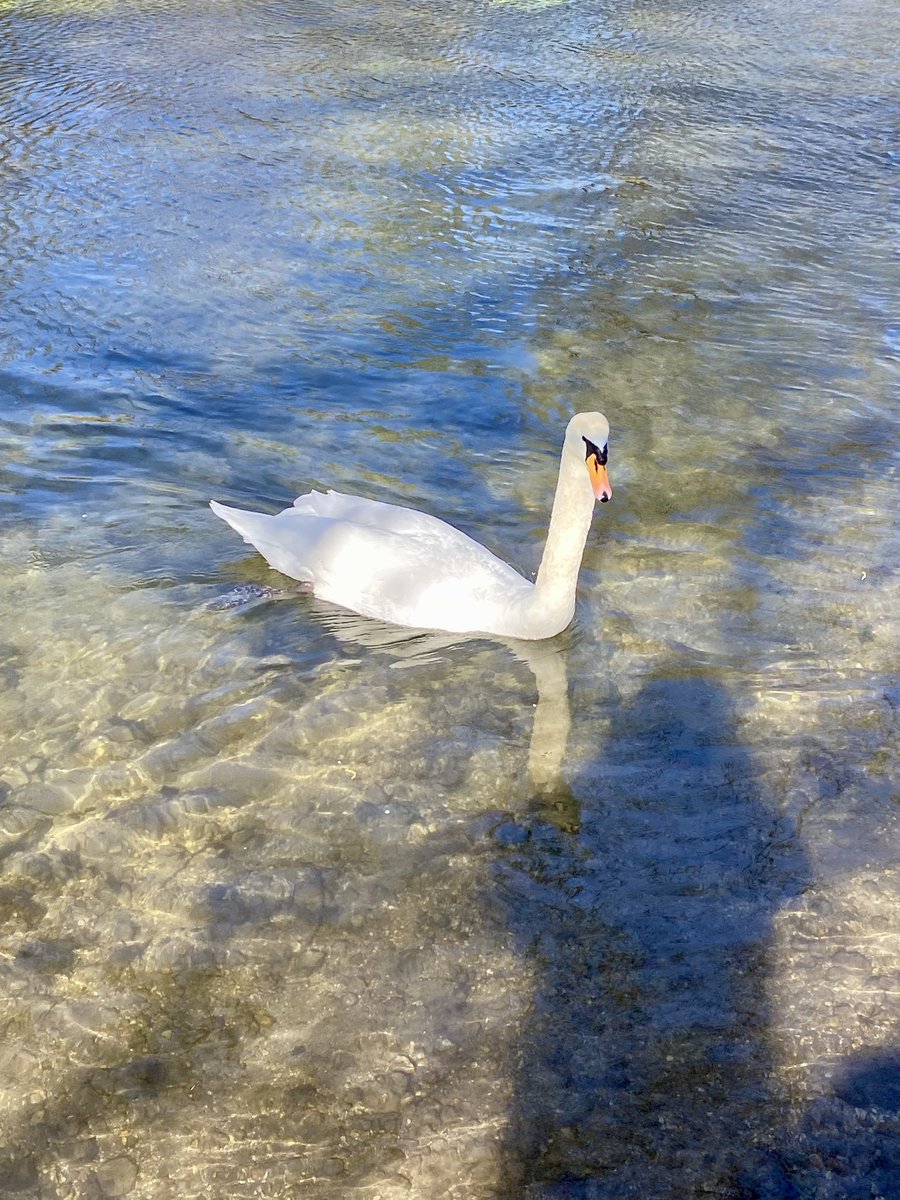 Claire D tweet media