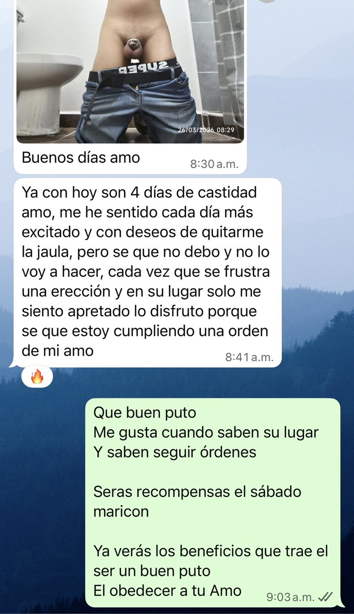 Master Leafar 4.2 K tweet media