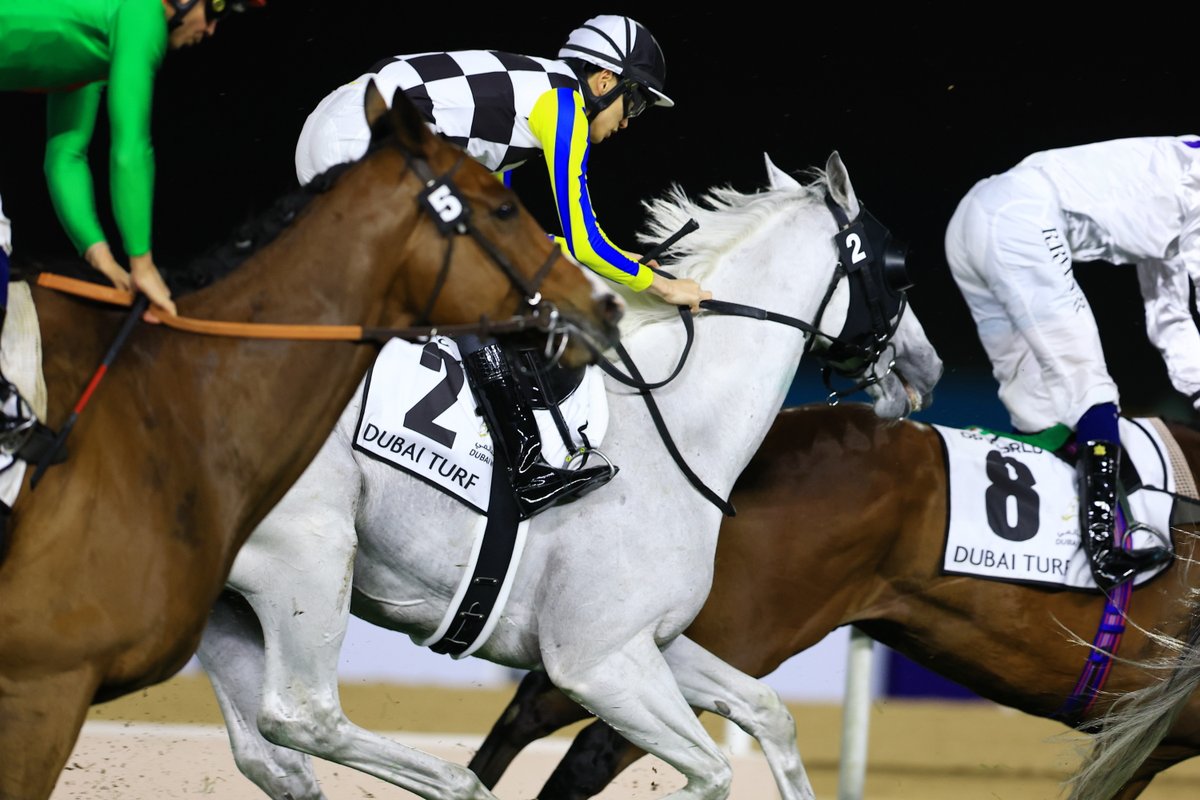 Idol Horse tweet media