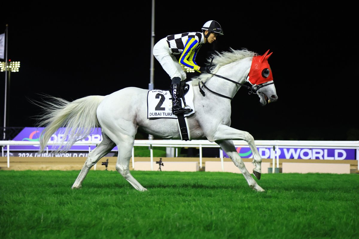 Idol Horse tweet media