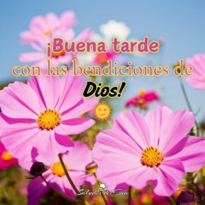 Profesora2.0😍🇨🇱🎼🌈👻 tweet media