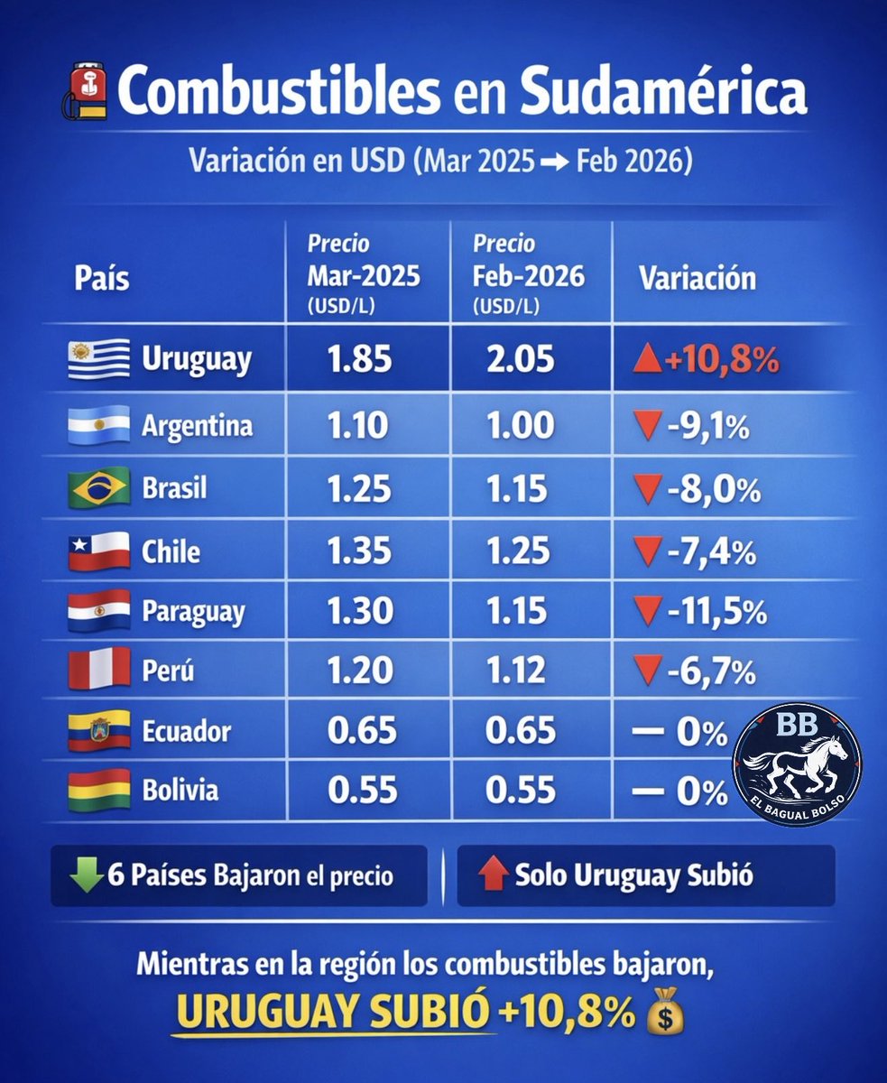 El Bagual bolso tweet media