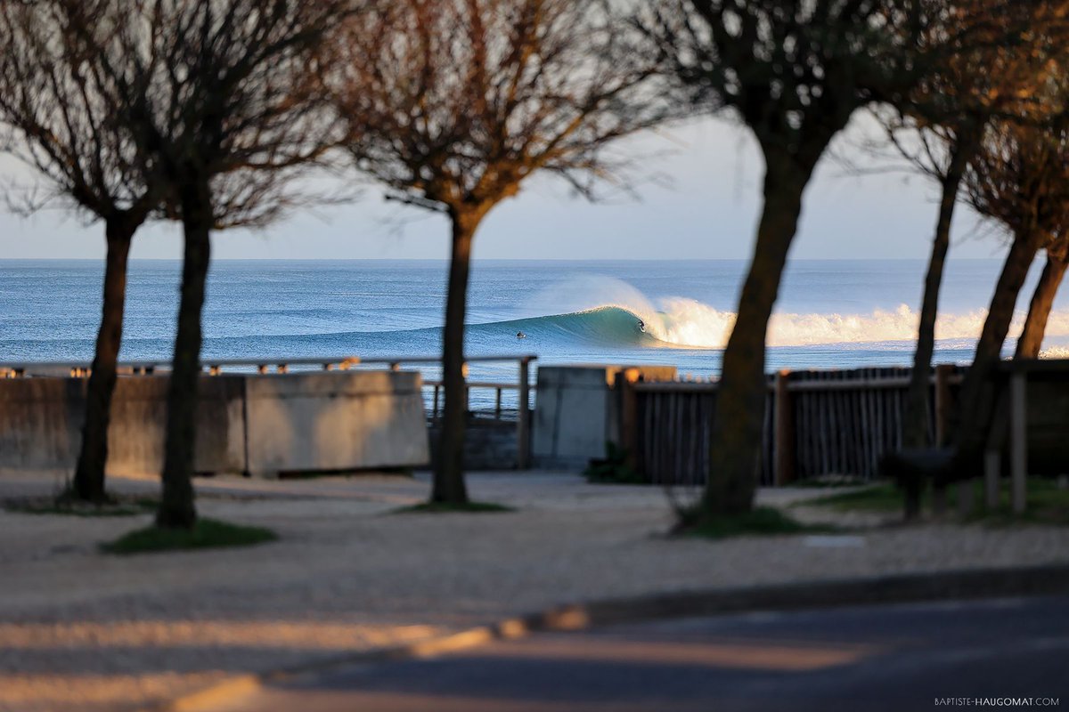 The Surf Slab tweet media