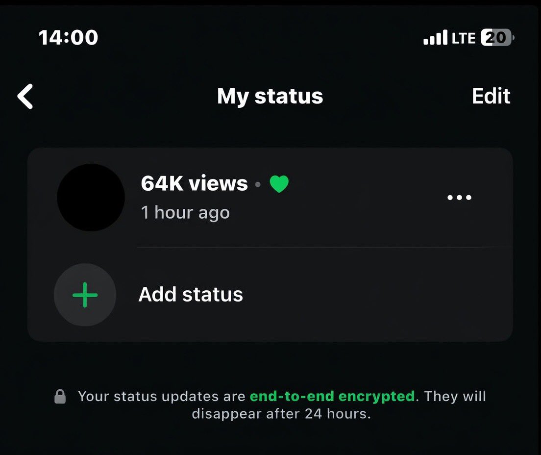 AlphaFay tweet media