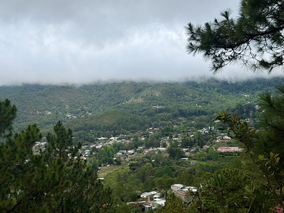 Kenneth Melhado tweet media