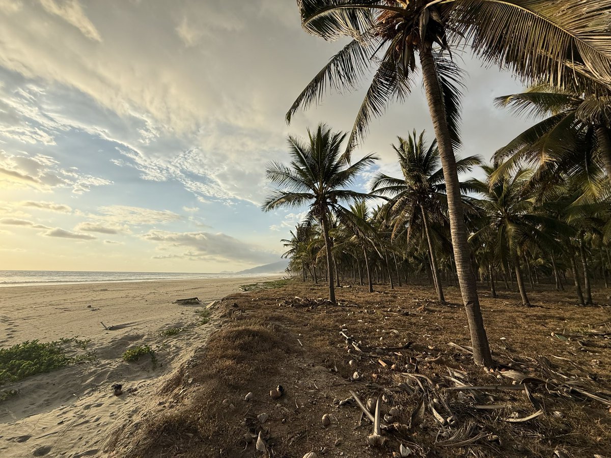 Heriberto Paredes ★ tweet media