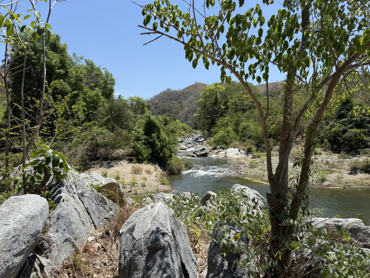 Heriberto Paredes ★ tweet media