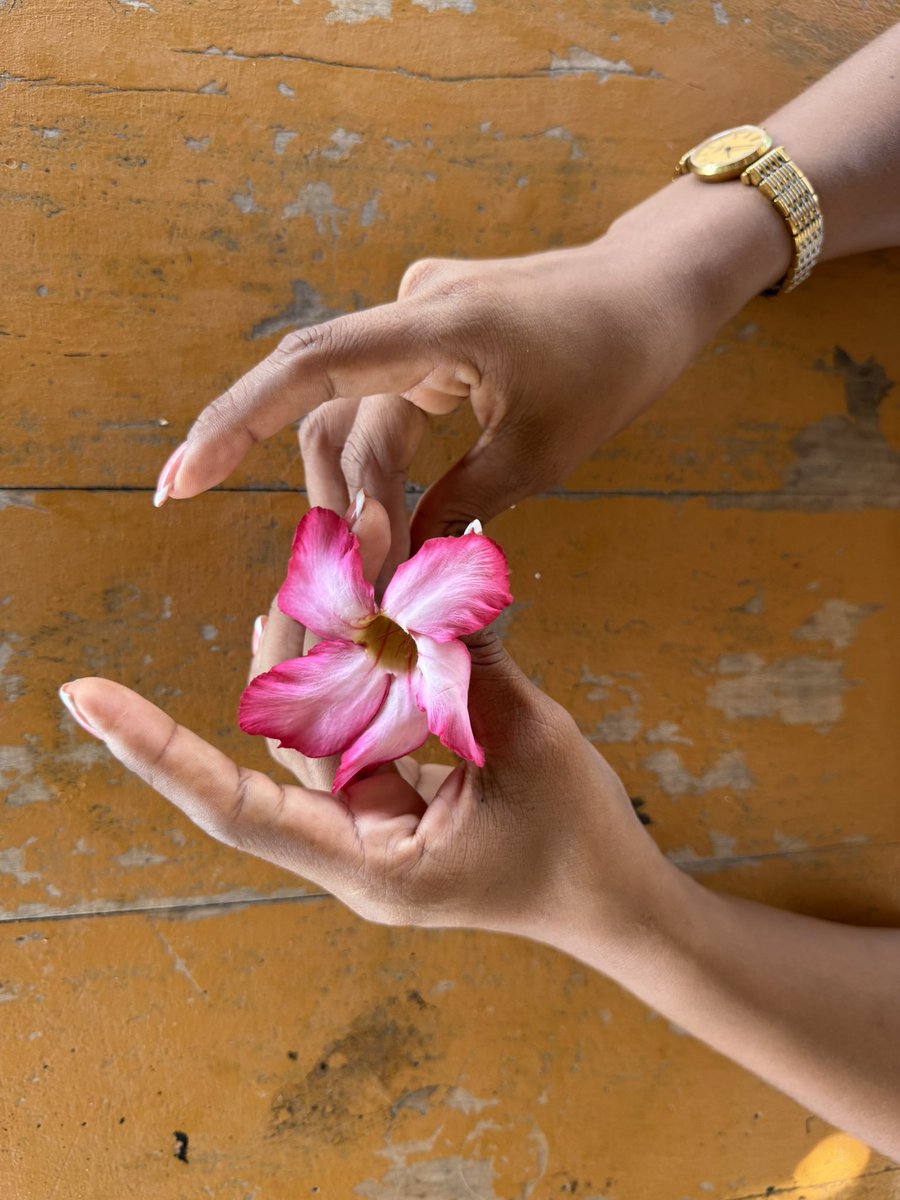 Heriberto Paredes ★ tweet media