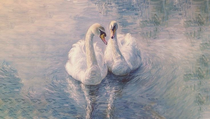 blossom. tweet media