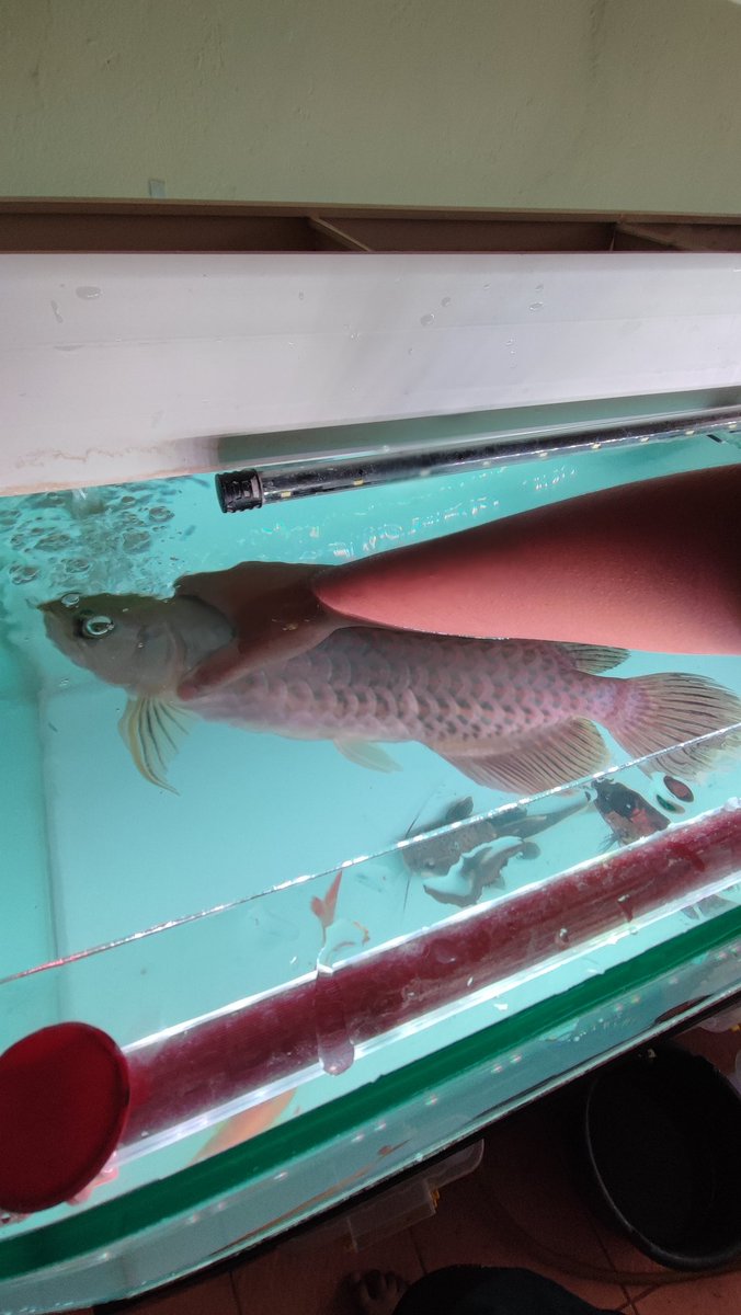 Diiy 🌐 tweet media