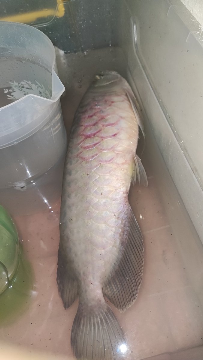 Diiy 🌐 tweet media