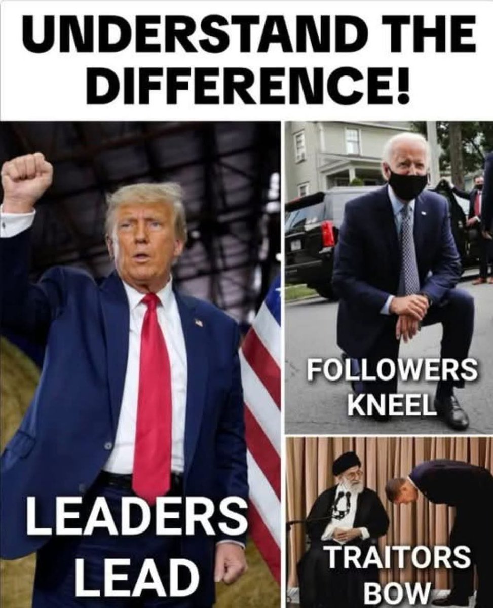 Spindizzy tweet media