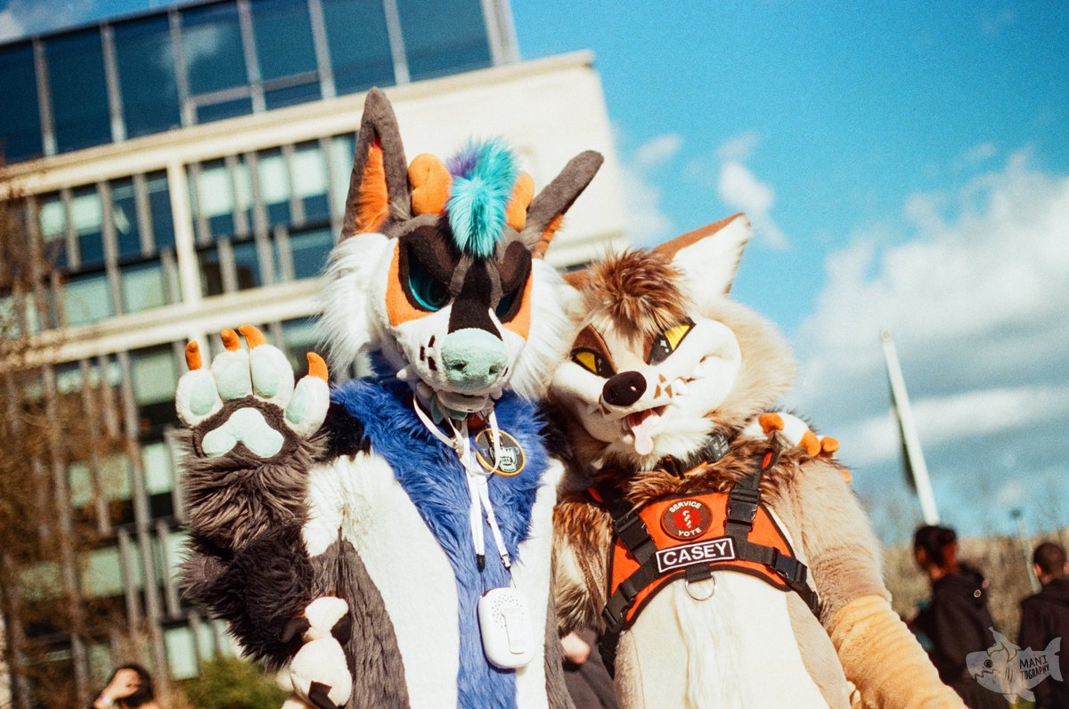 ctahrpoe's tweet photo. Fursuit like it's the summer of '99 @TantoDog 

📷 @ziggy_pawdust1 https://t.co/jnBSc59lXB