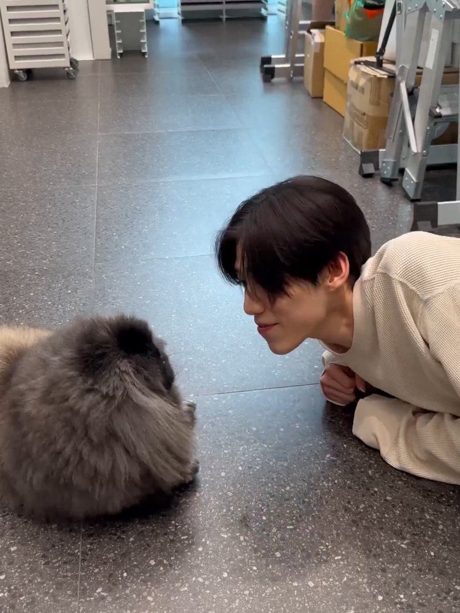 𝓚𝓸𝓷𝓴𝓸𝓷 ʕ•ᴥ•ʔ🌟 tweet media