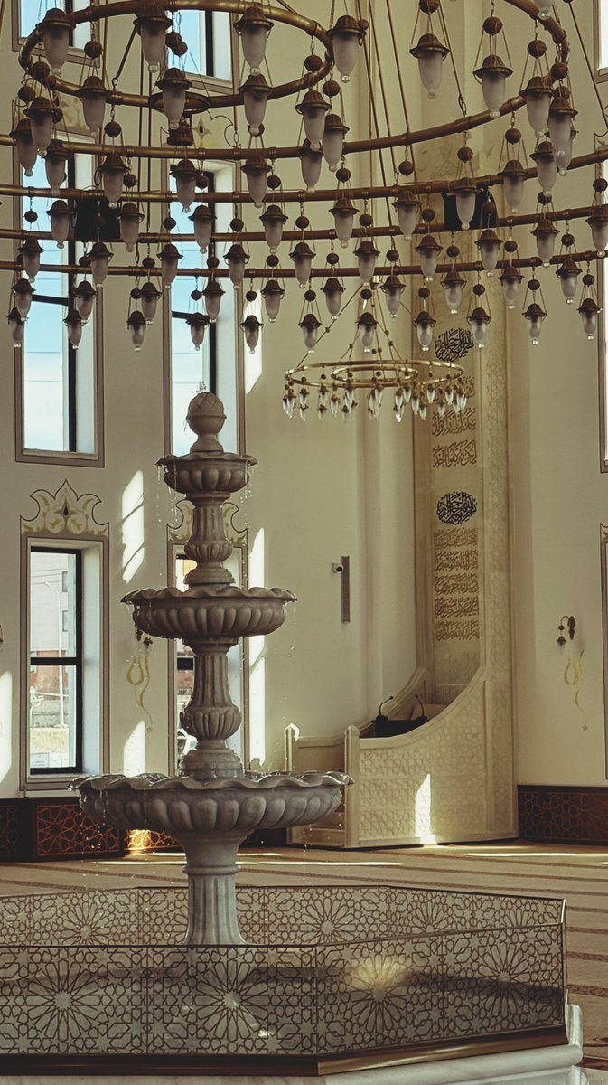 الكنور tweet media