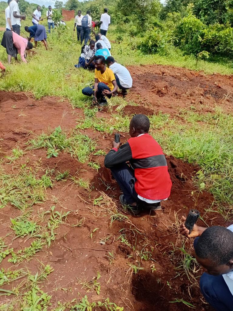 YASCONORG's tweet photo. As the end of 2025/26 National Forestry Season draws near, we continue  giving highlights of the various activities YASCON conducted in respect to the season.

Our Conservation Coordinator Chisomo Nyirenda led a tree planting exercise at Malembo Sec School, T/A Malembo, Lilongwe https://t.co/jnyCCF3PVR