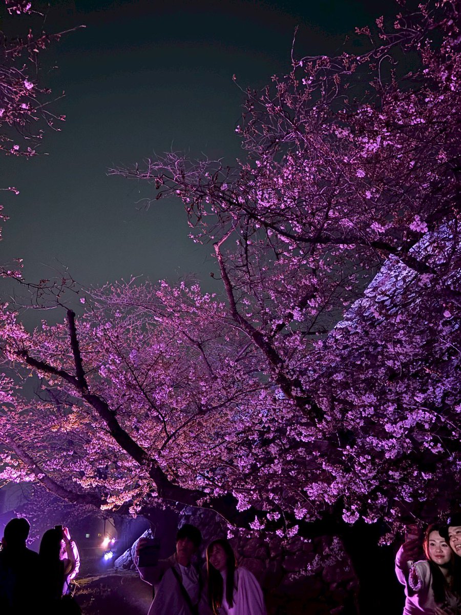 しだれ🌾GHOST福岡2日目 tweet media