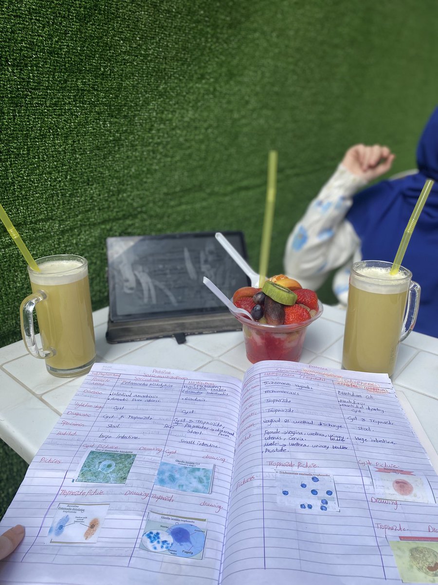 Toqa Mondy tweet media