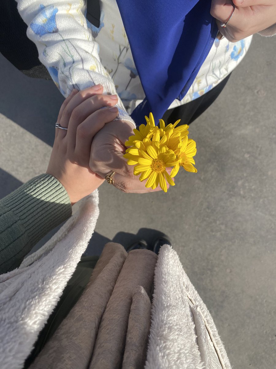 Toqa Mondy tweet media