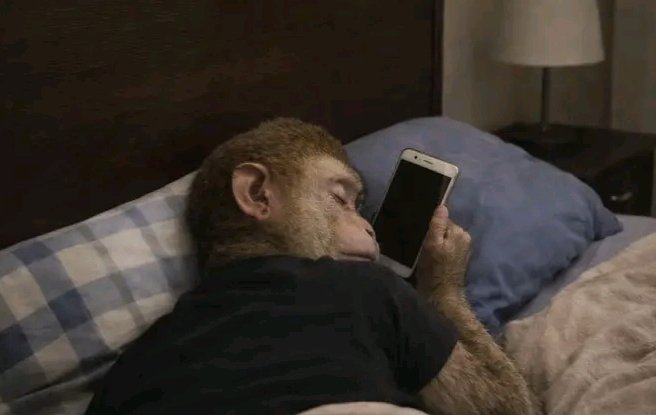 𝒢𝒾𝒷𝓈𝑜𝓃 tweet media