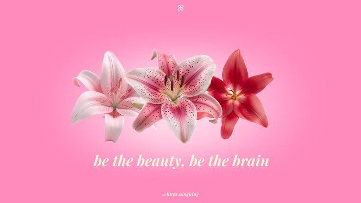 Timothia 🍒 tweet media