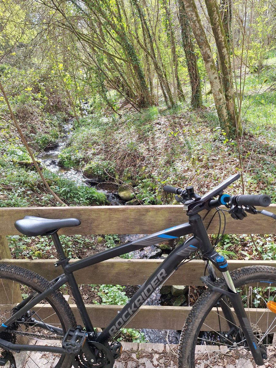 Matt Crt tweet media