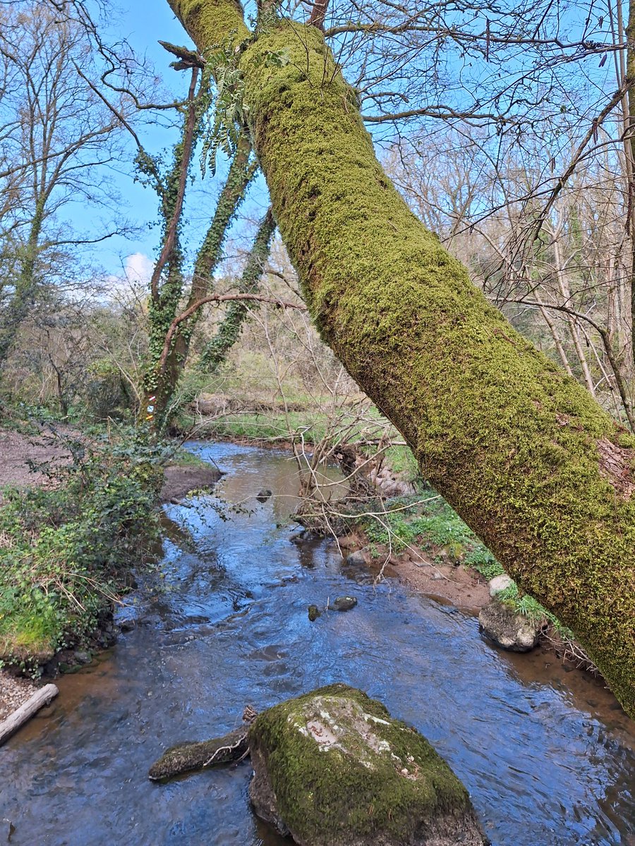 Matt Crt tweet media