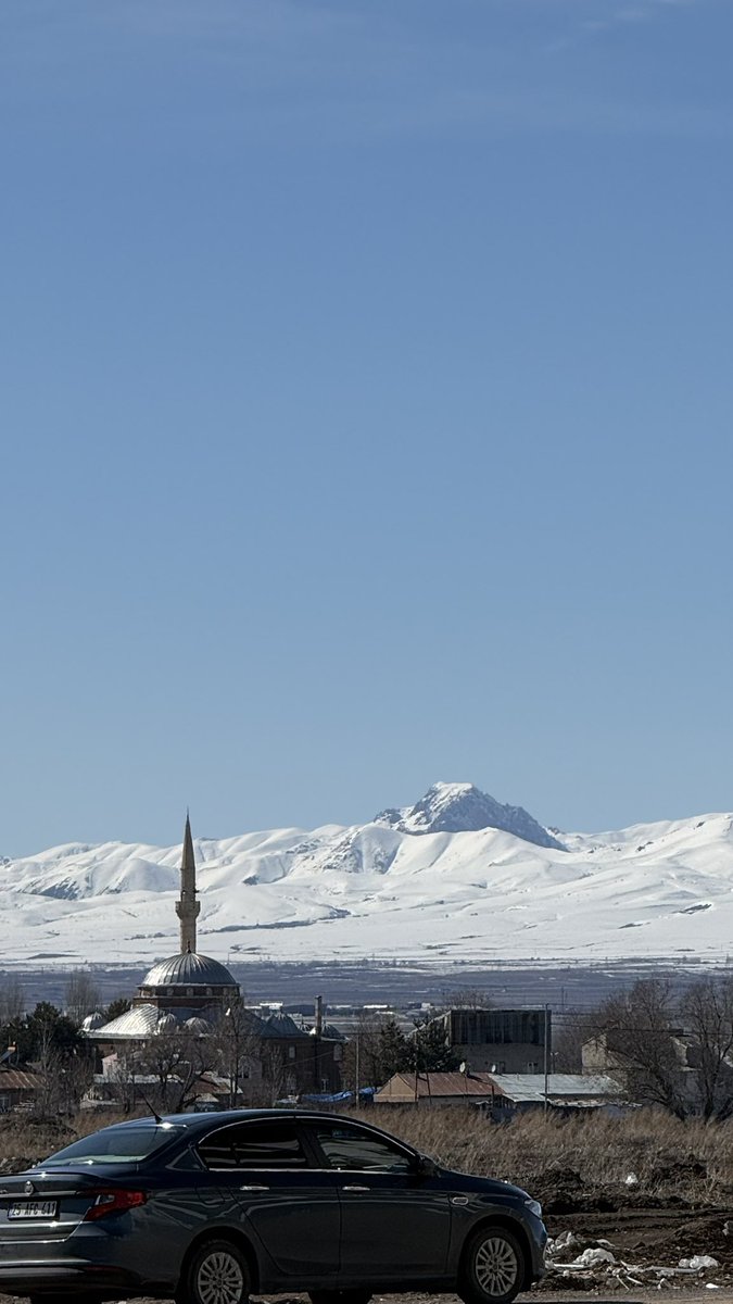 الكنور tweet media