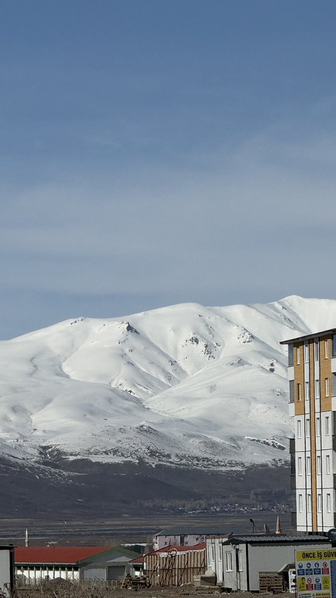 الكنور tweet media