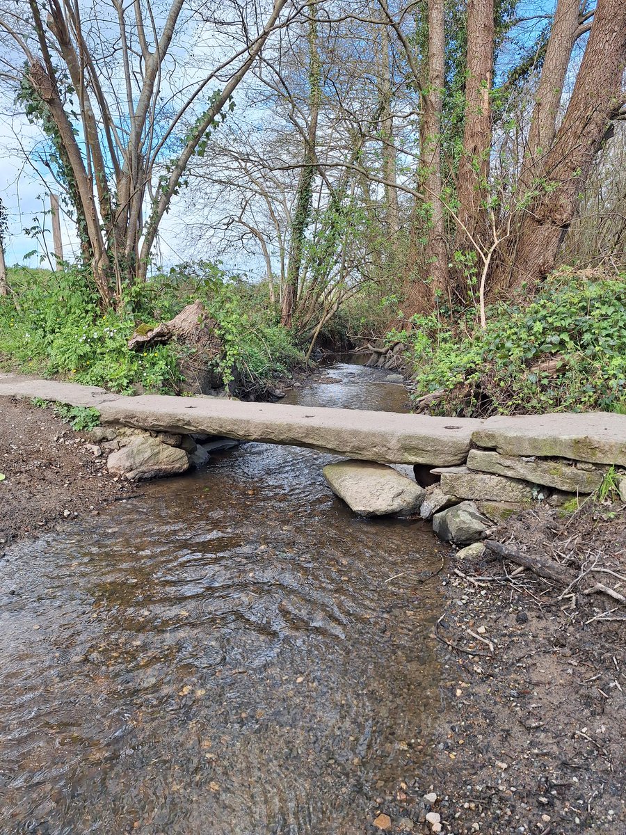 Matt Crt tweet media