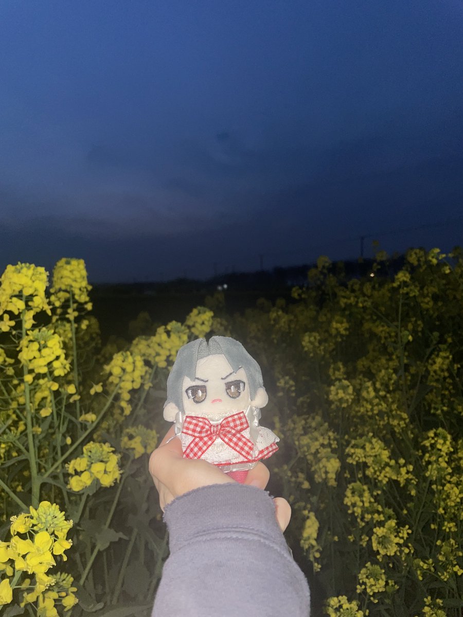 一去不回来 tweet media