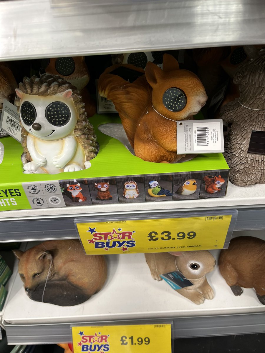 Bagaweeklybargain tweet media