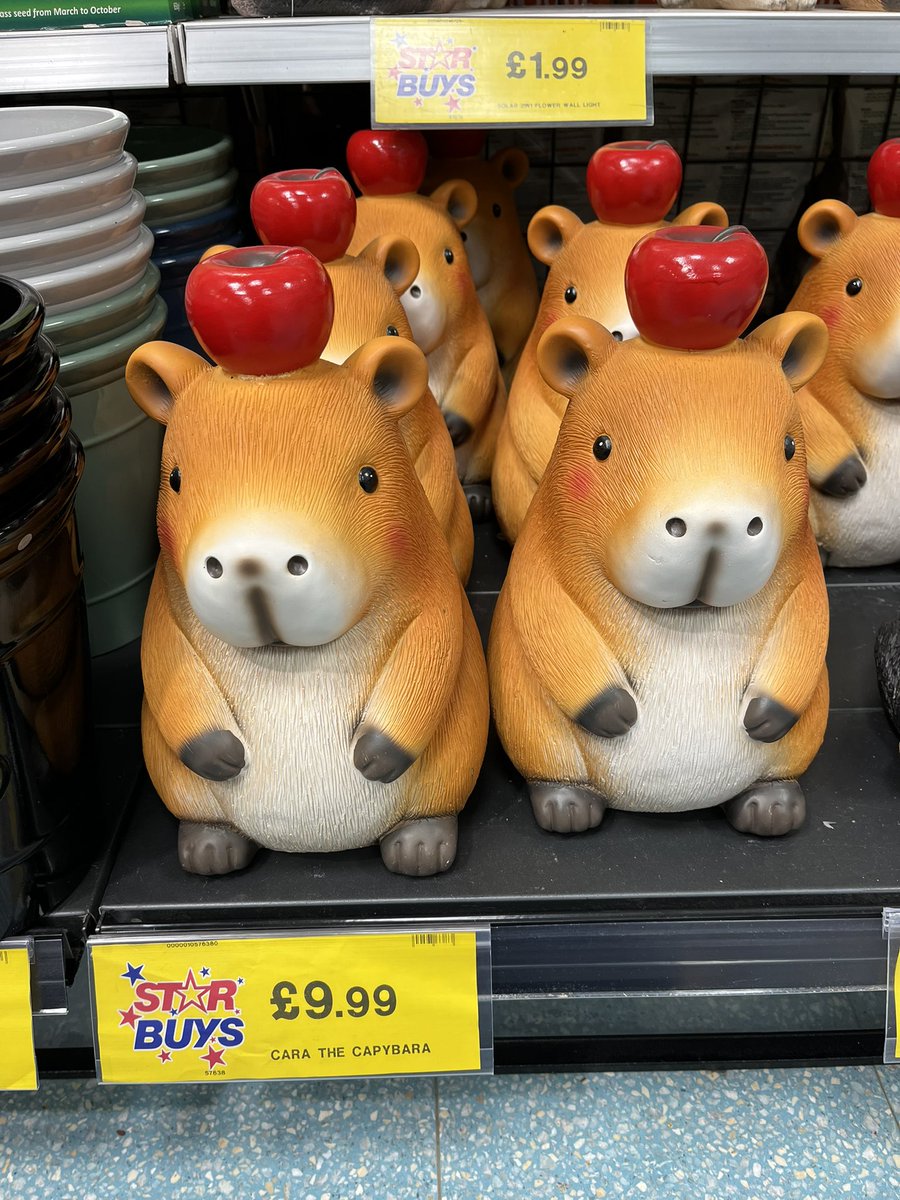 Bagaweeklybargain tweet media