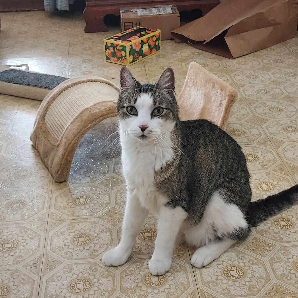 Diane Herridge 💜 tweet media