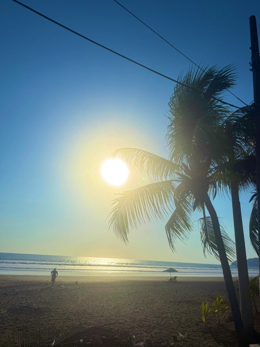 nina lee tweet media