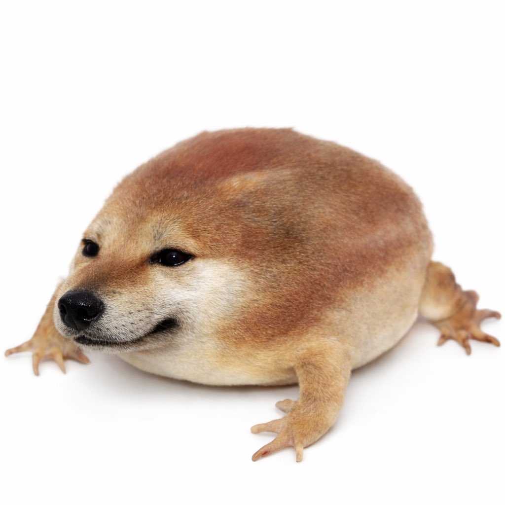 Double A 🐂📈 tweet media