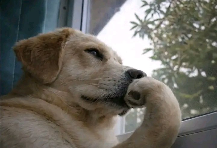 will.It💎🌊 tweet media