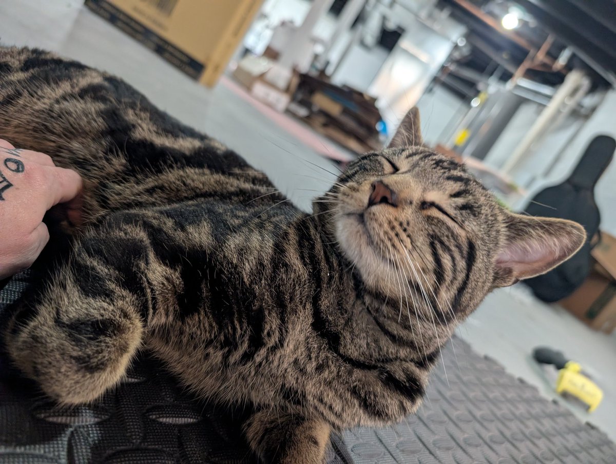 ✨dea✨ is forever blowing bubbles 🇵🇸 tweet media